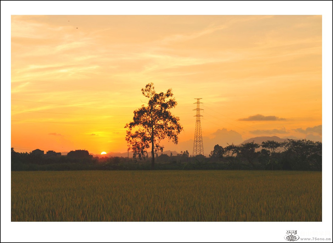 DSC_6526_conew1.jpg