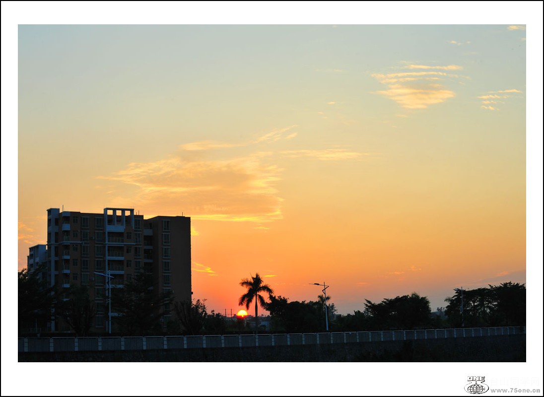 DSC_2697_conew1.jpg