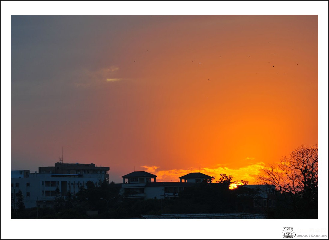 DSC_8019_conew1.jpg