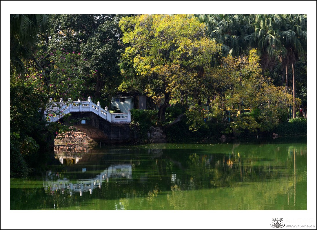 DSC_2392_conew1.jpg