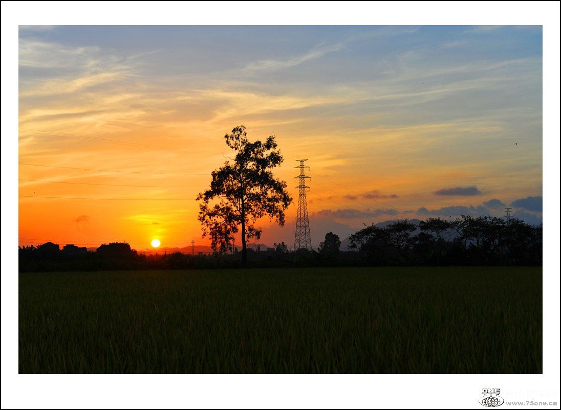DSC_6551_conew1.jpg