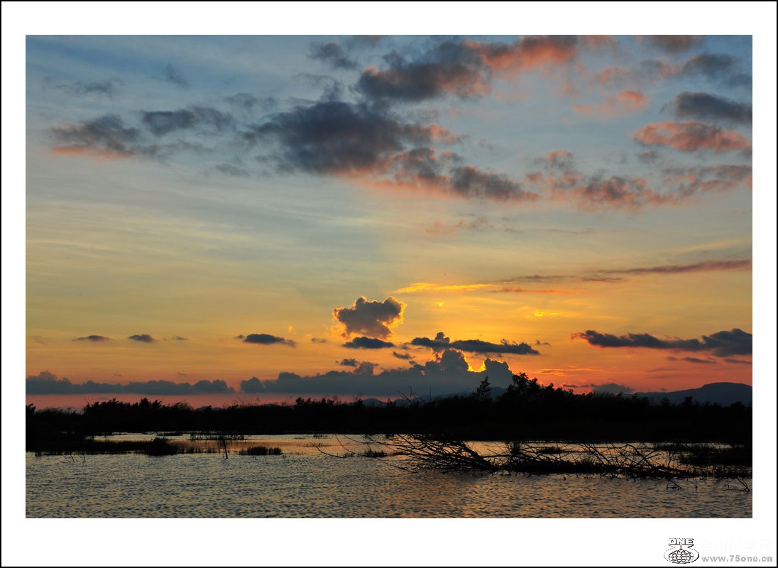 DSC_8225_conew1.jpg