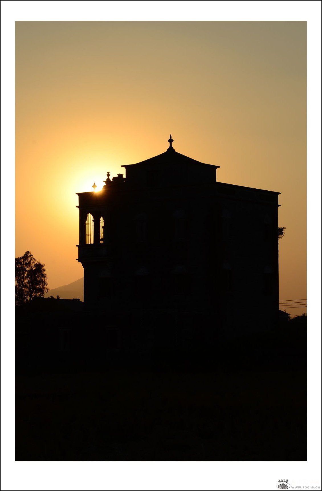 DSC_2739_conew1.jpg