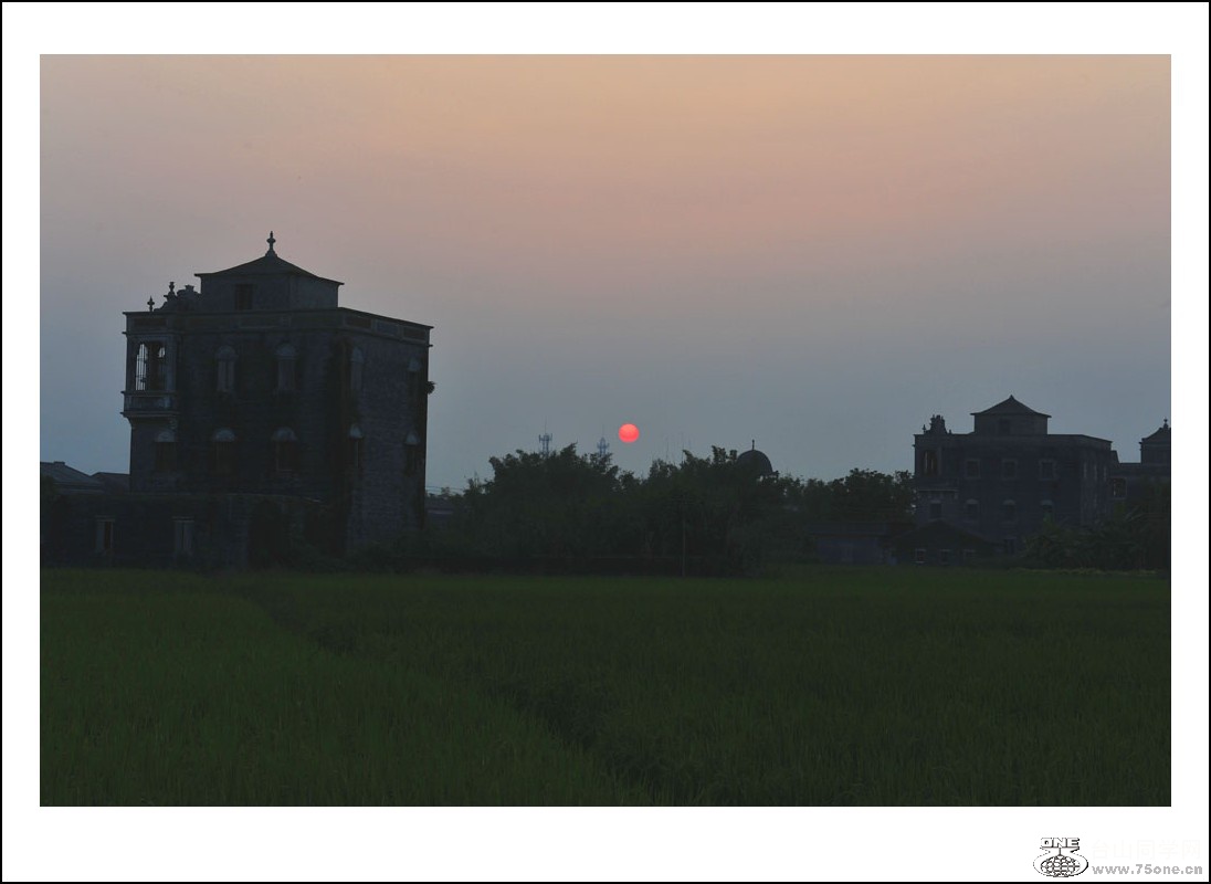 DSC_1114_conew1.jpg