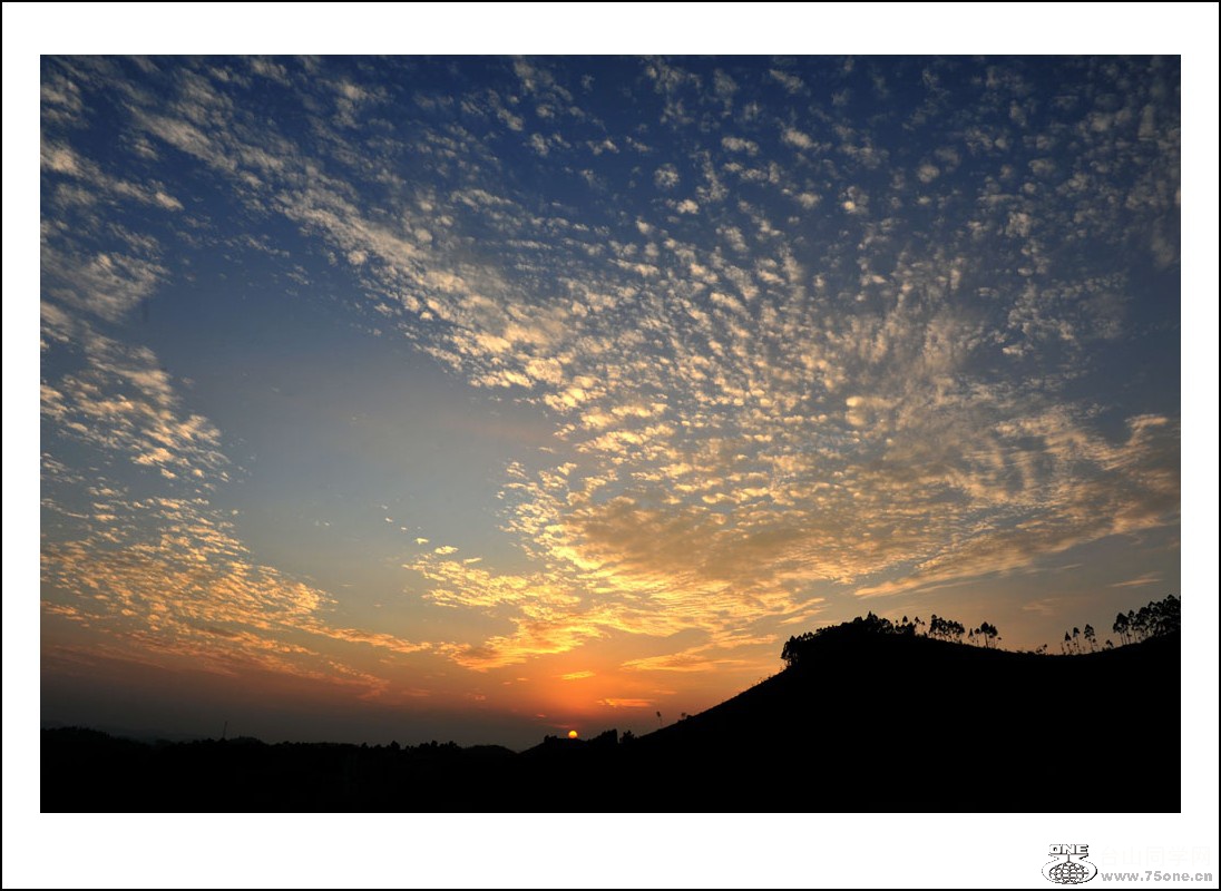 DSC_6743_conew1.jpg