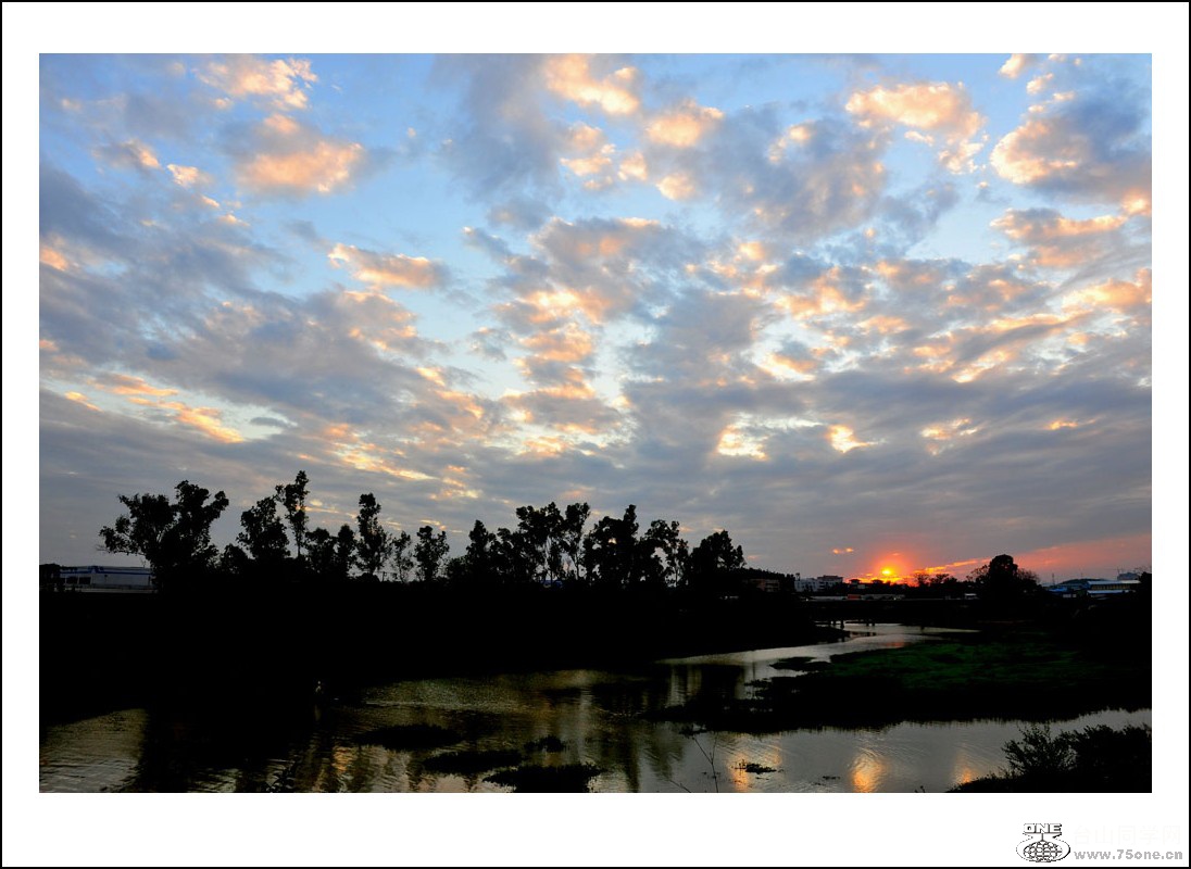 DSC_7993_conew1.jpg