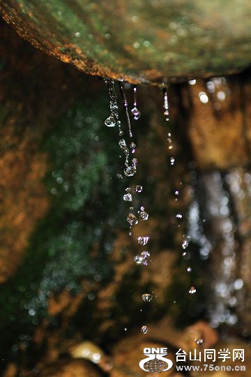 DSC_0290.jpg