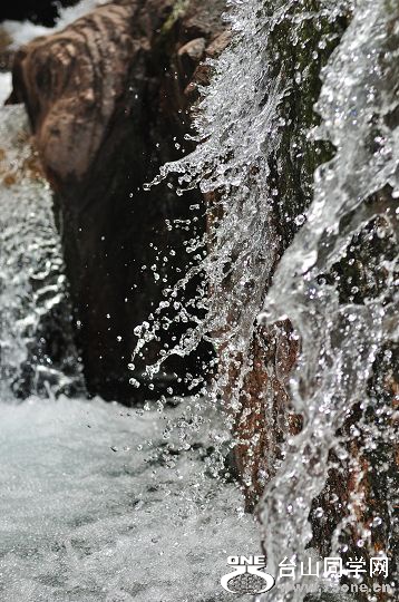 DSC_0248.jpg