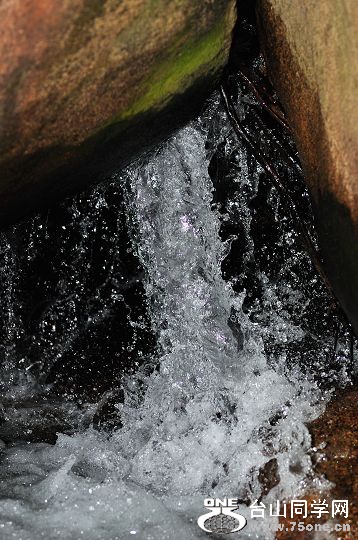 DSC_0278.jpg