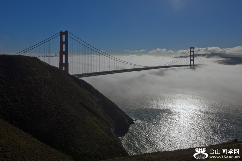 DSC_7779aa.jpg