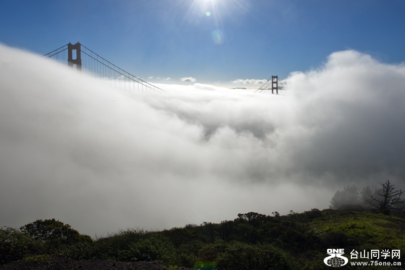 DSC_7692aa.jpg