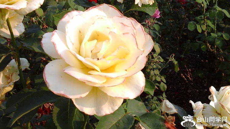20140919_120934_.jpg