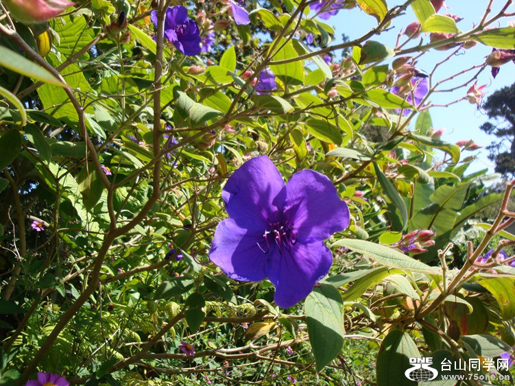 DSC04234_.jpg