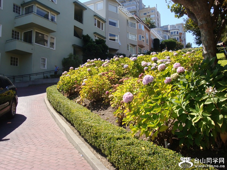 DSC04302_.jpg