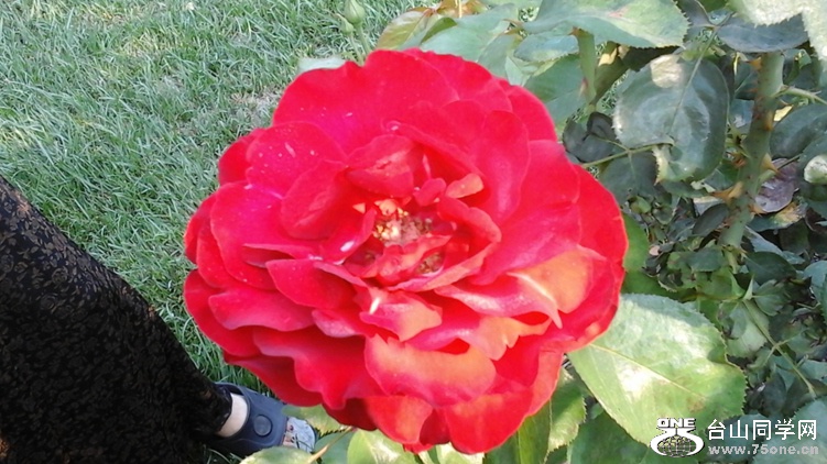20140919_121110_.jpg
