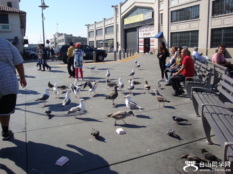 DSC04361_.jpg