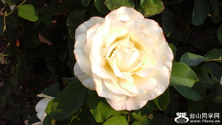 20140919_120921_.jpg