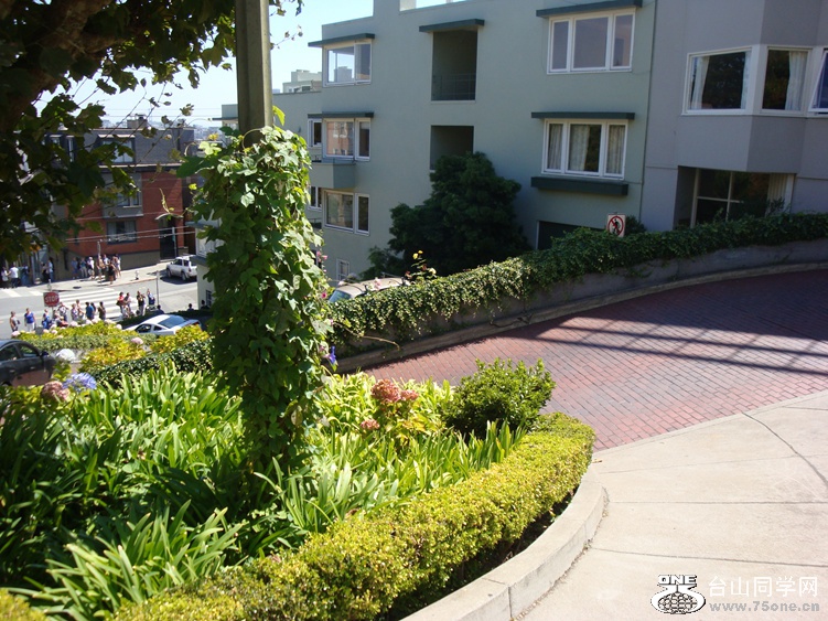 DSC04299_.jpg