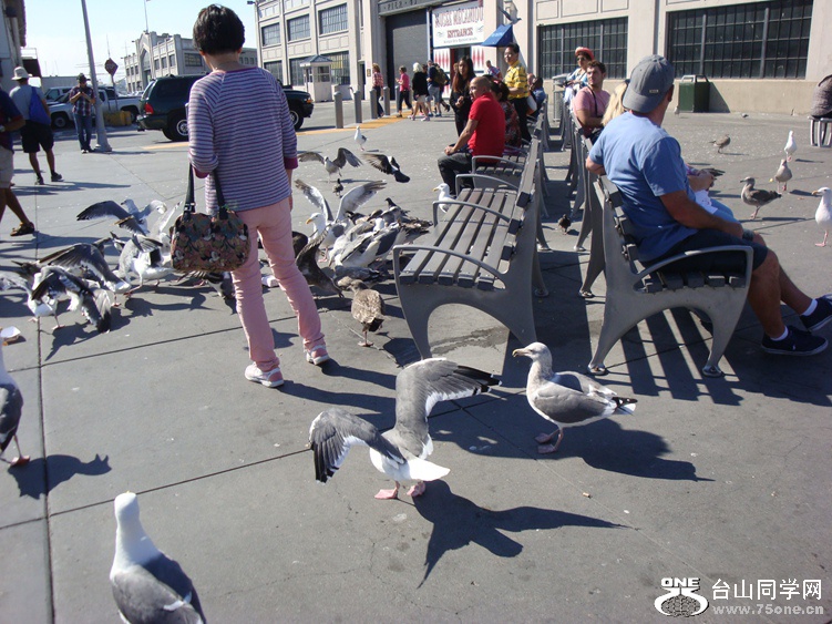 DSC04360_.jpg