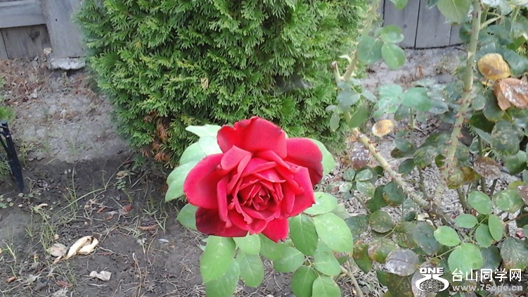 20140919_121404_.jpg