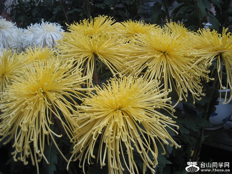2014 105_.jpg