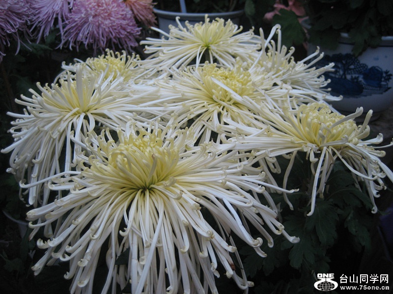2014 093_.jpg