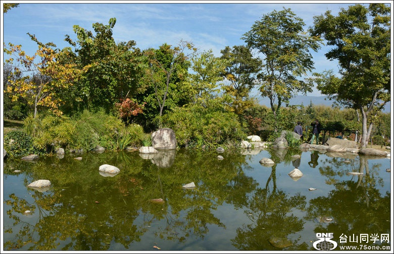 DSC_2274.JPG