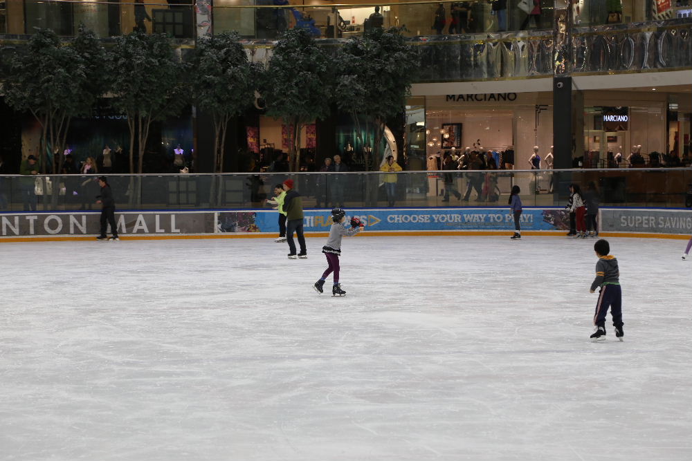 IMG_8931.JPG