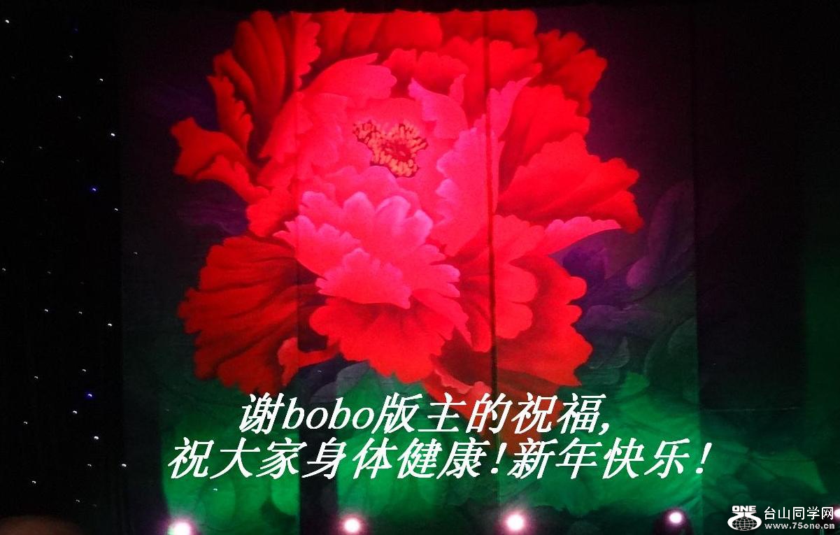 лboboף,ף彡!!.JPG