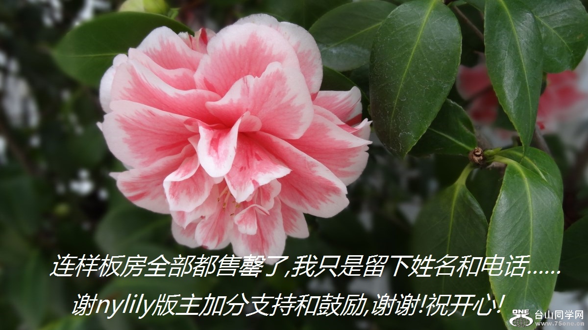 巿ȫ,ֻ͵绰......лnylilyӷֺ֧͹,лл!ף!.jpg