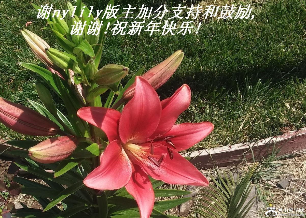 лnylilyӷֺ֧͹,лл!ף!.JPG