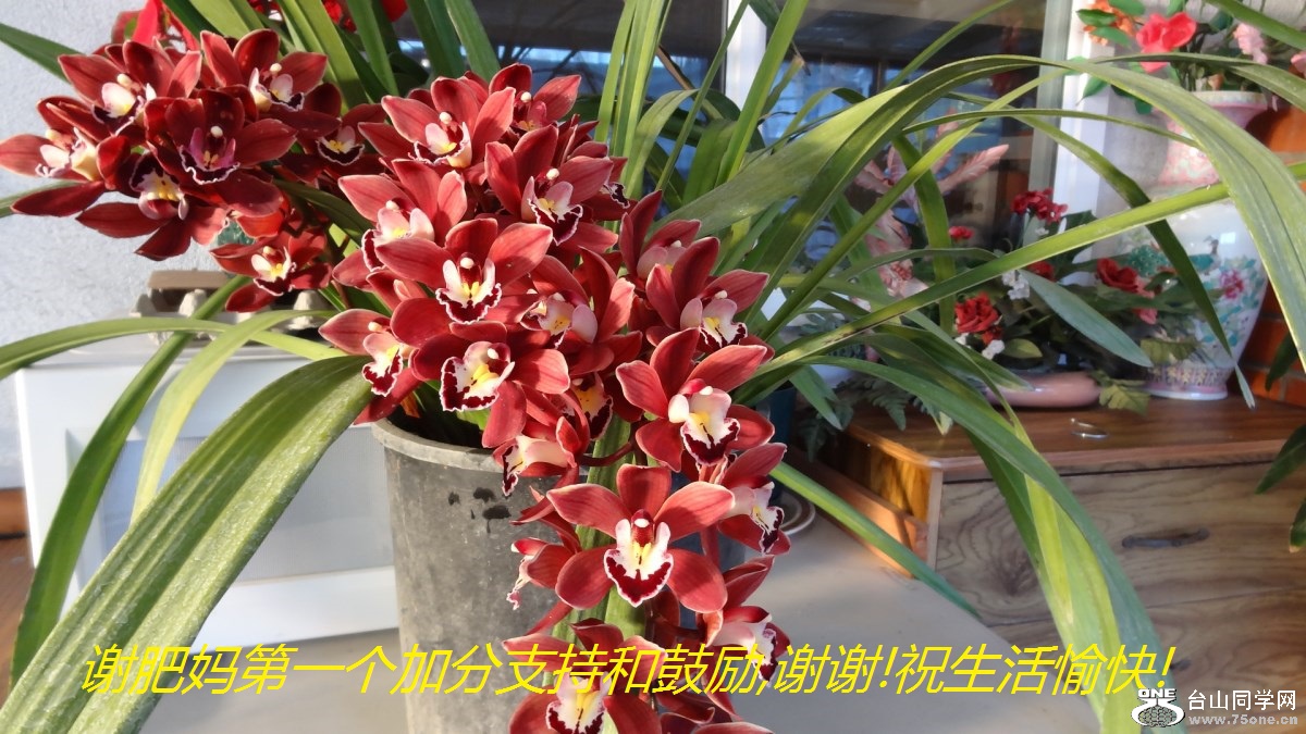 谢肥妈第一个加分支持和鼓励,谢谢!祝生活愉快!.jpg
