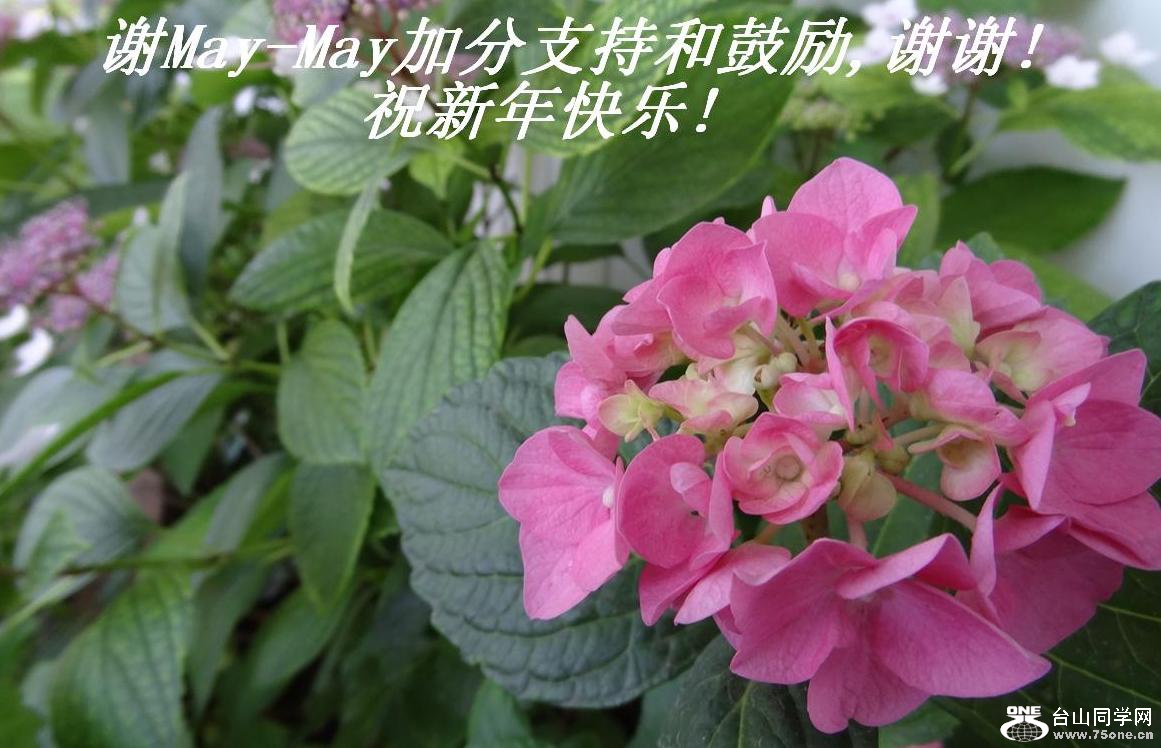 лMay-Mayӷֺ֧͹,лл!ף!.JPG