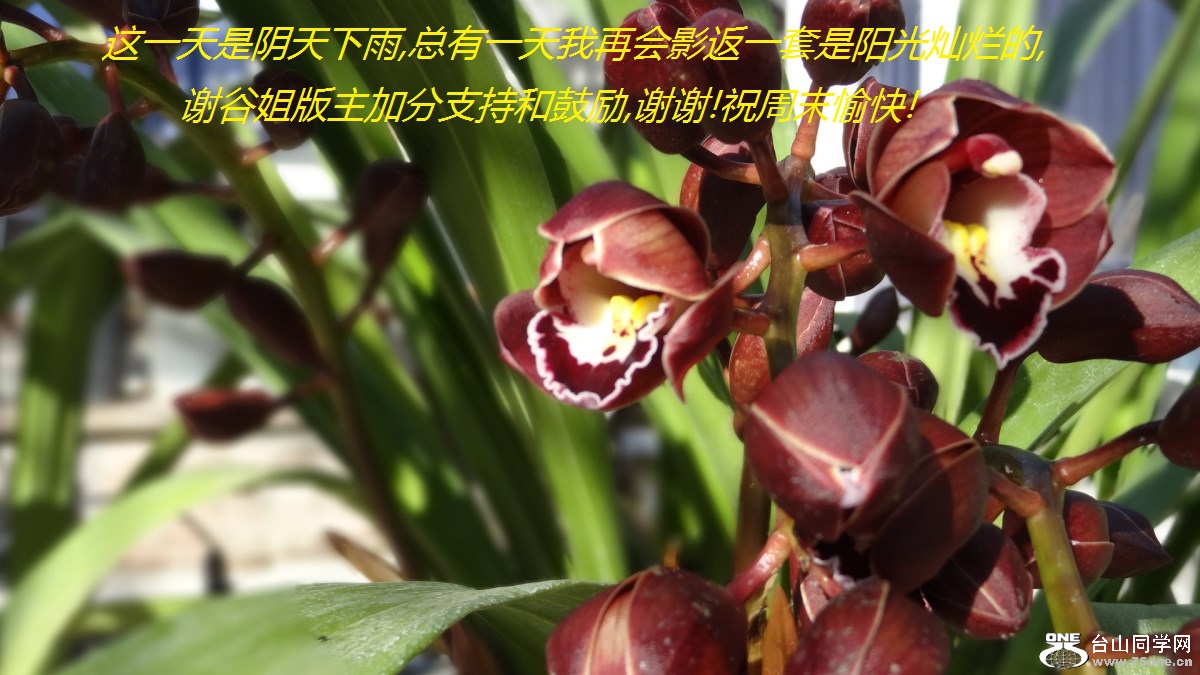 һ,һٻӰһõ,лȽӷֺ֧͹,лл!ףĩ!.jpg