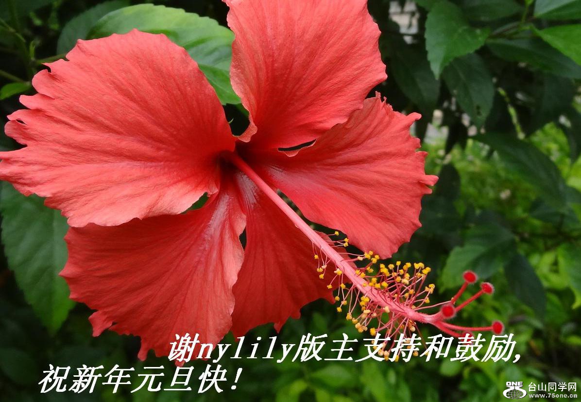 лnylilyֺ֧͹,ףԪ!.JPG