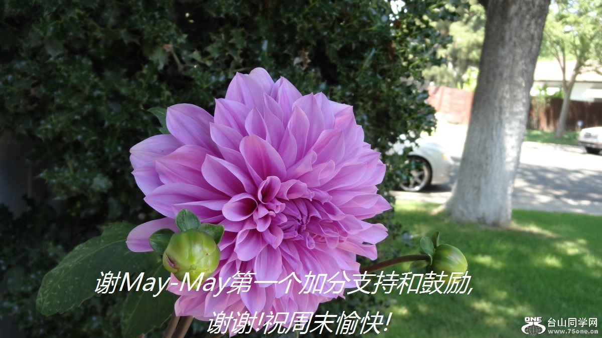 лMay-Mayһӷֺ֧͹,лл!ףĩ!.jpg