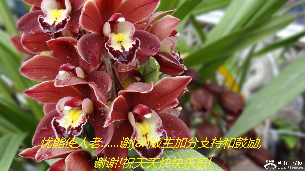 ʹ......лjanӷֺ֧͹,лл!ף!.jpg