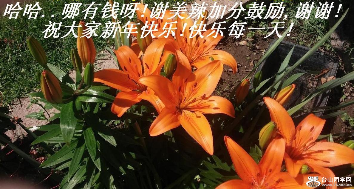 ...Ǯѽ!лӷֹ,лл!ף!ÿһ!.JPG