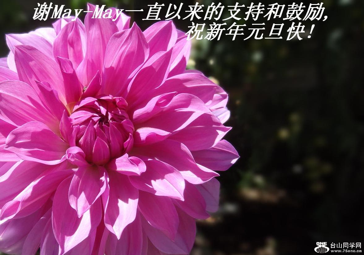 лMay-Mayһֱֺ֧͹,ףԪ!.JPG