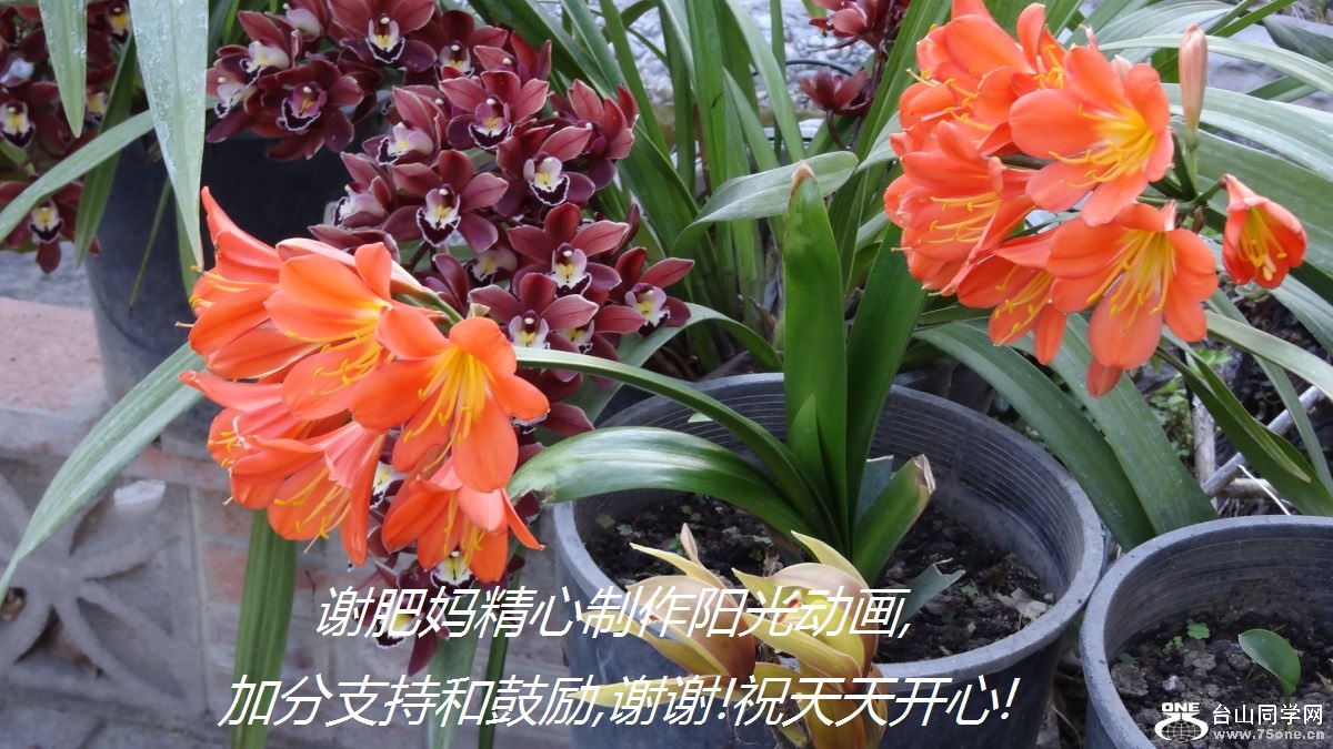 л辫⶯,ӷֺ֧͹,лл!ף쿪!.jpg