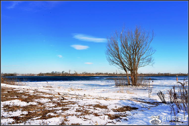 DSC_6438.jpg