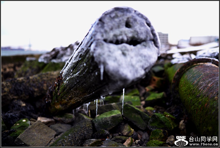 DSC_4023.jpg