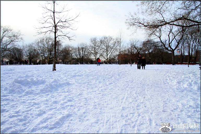IMG_2085_.jpg