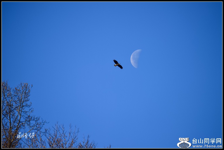 DSC_1049a.jpg