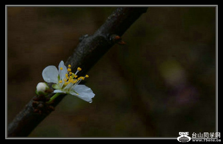DSC_3246_1.JPG