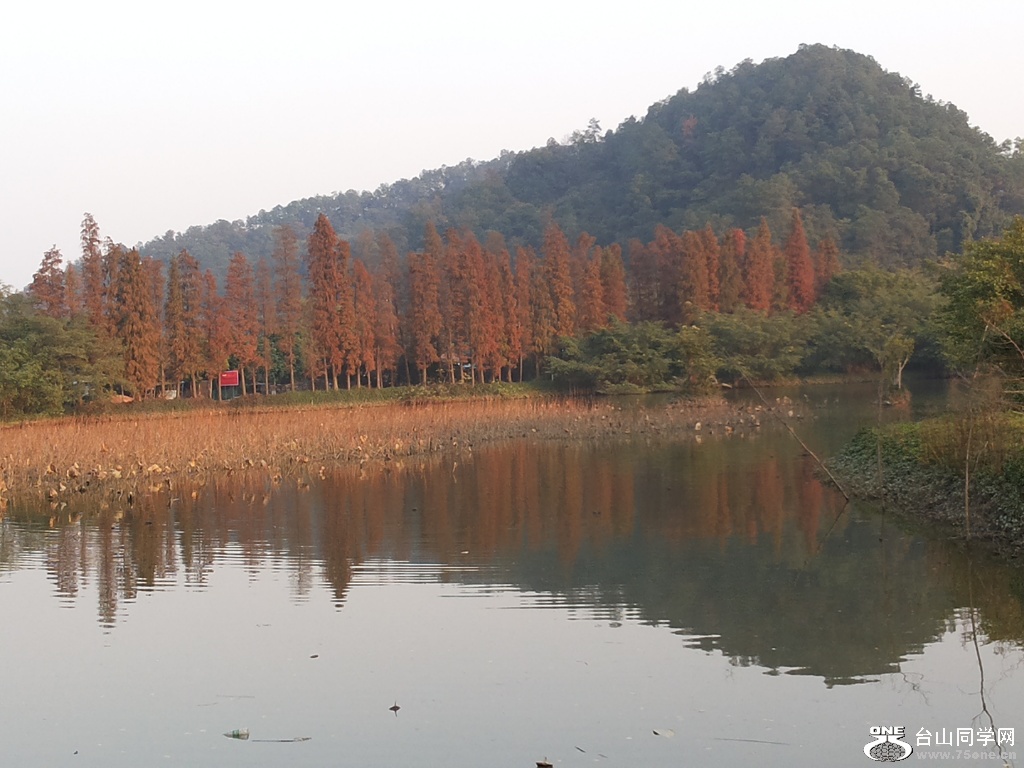 CYMERA_20150102_170146.jpg