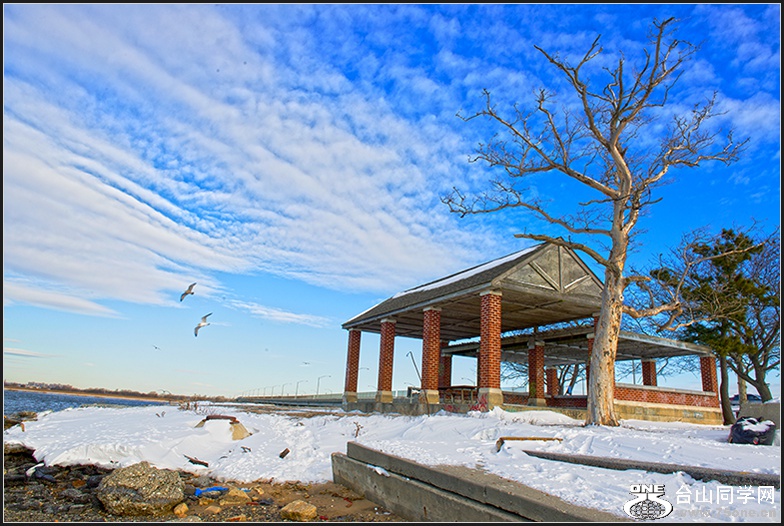DSC_6329.jpg