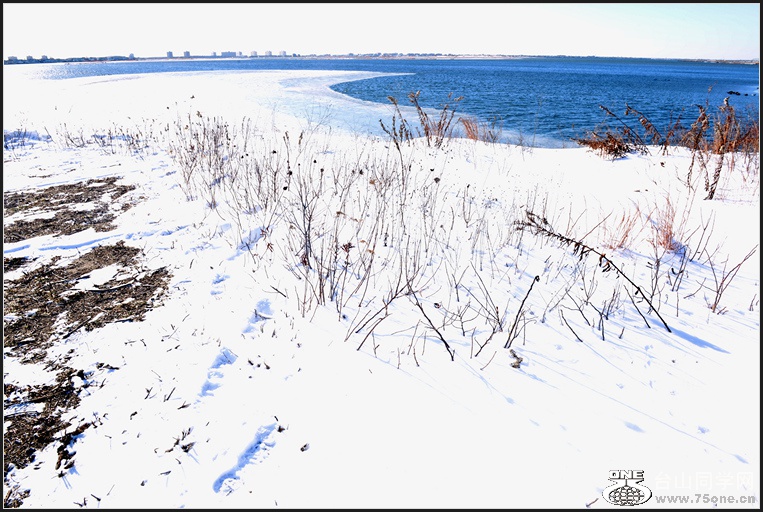 DSC_6523.jpg