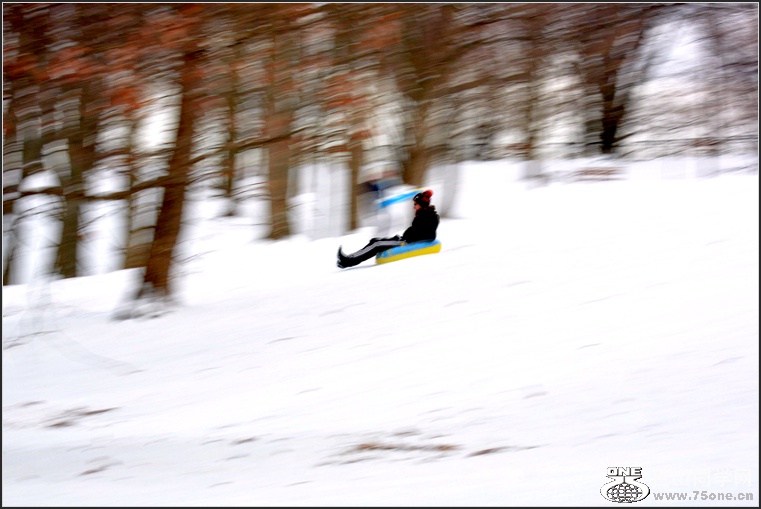 DSC_8918.jpg
