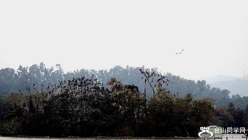 DSCF0301.jpg